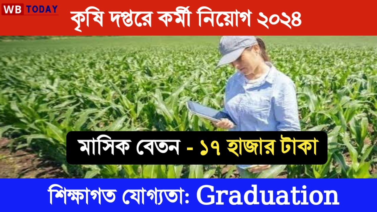 JOB Recruitment 2024