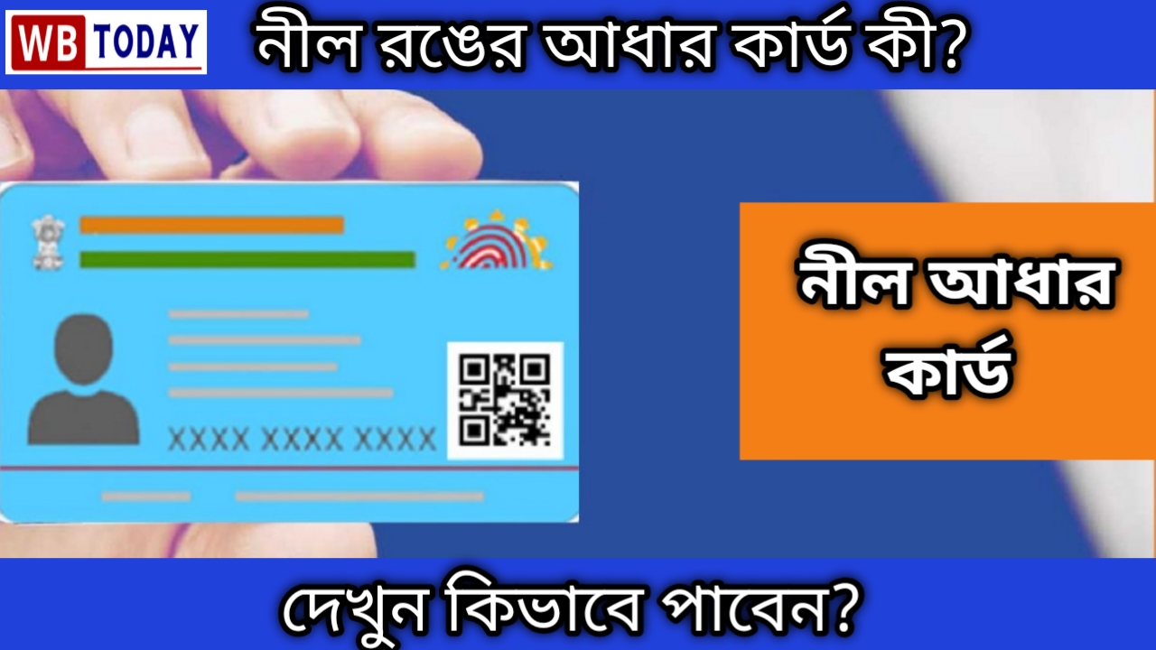 Blue Aadhar Card: ব্লু আধার কার্ড কি? দেখুন কারা পাবেন এই নীল আধার কার্ড পরিসেবা