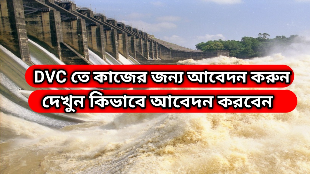 DVC তে শুরু হয়েছে কর্মী নিয়োগ। দেখুন কিভাবে আবেদন করবেন।