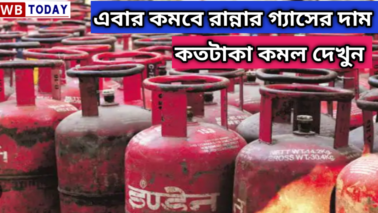 LPG cylinder price 2024:লোকসভা ভোটের আগে কমবে গ্যাসের দাম। মন্তব্য করলেন মুখ্যমন্ত্রী মমতা ব্যানার্জি। সত্যিই কি কমতে পারে গ্যাসের দাম?