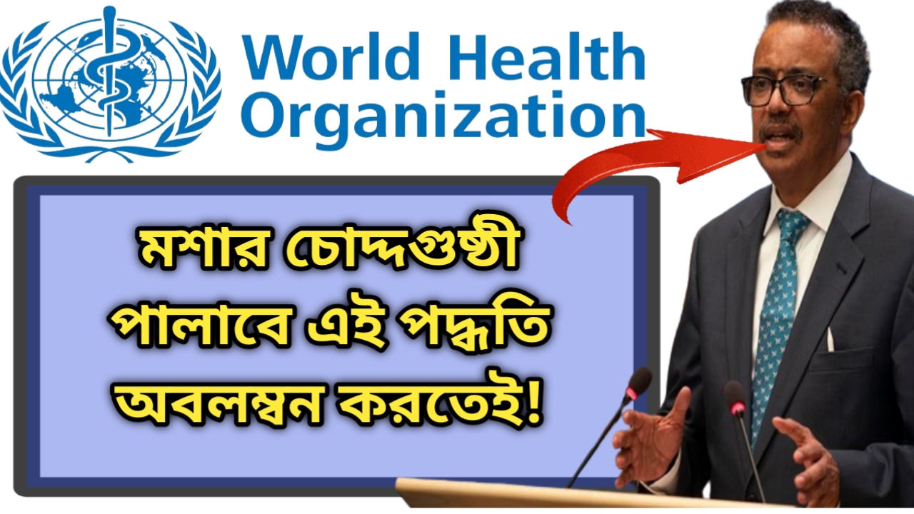 WHO:কীভাবে কমবে মশা জানালো WHO দেখুন কি পদক্ষেপ নিল বিশ্ব স্বাস্থ্য সংস্থা